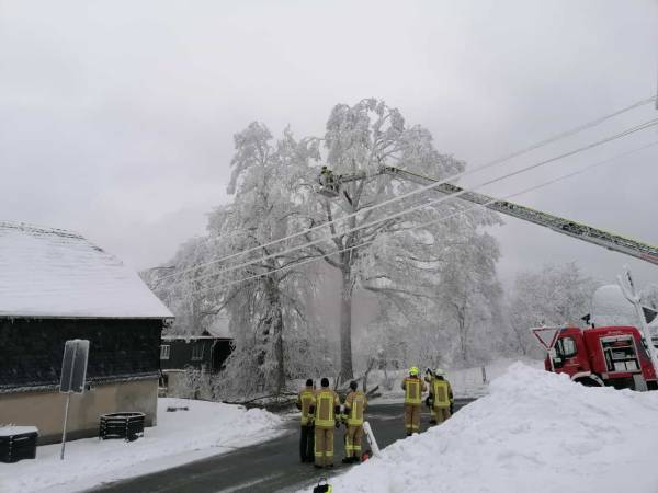 Hilfeleistung (H1)_9DF749BA-DAE3-4971-8C35-6087270D3585.jpeg