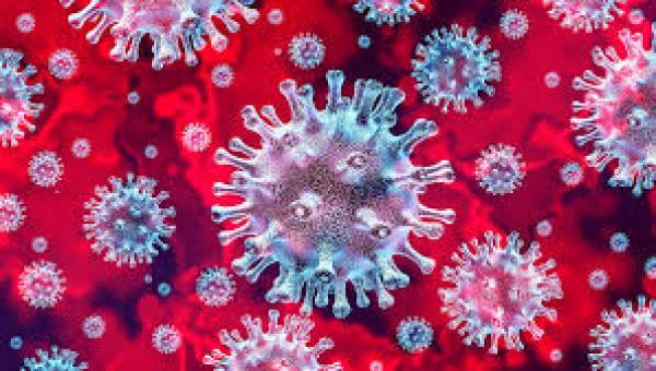 Informationen zum Coronavirus