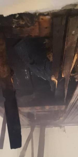 Brand (B1)_IMG-20191104-WA0011.jpg
