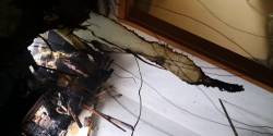 IMG-20191104-WA0009.jpg